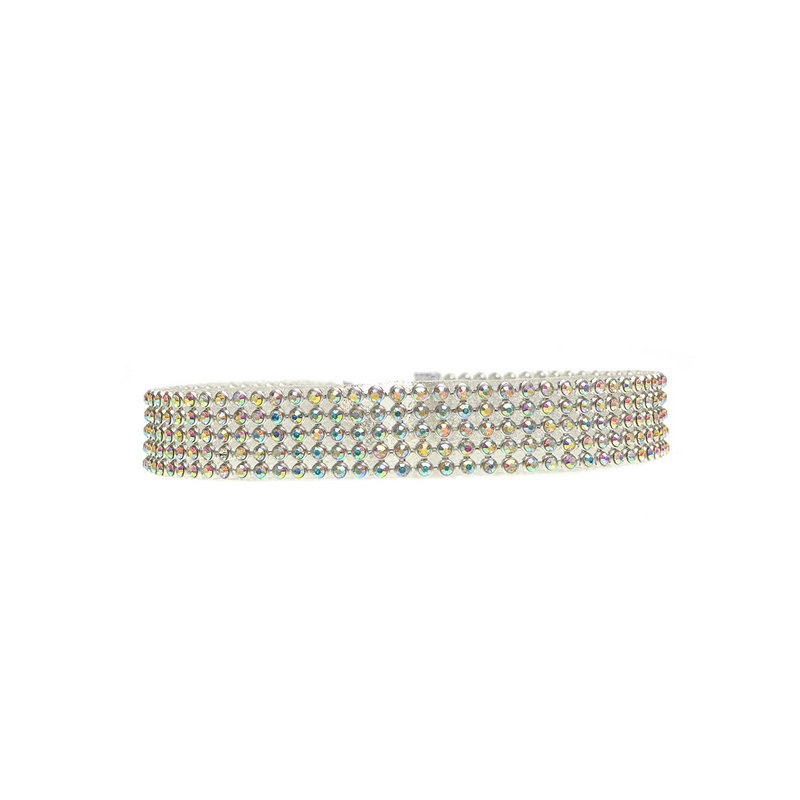 Thick Rhinestone Choker Necklace